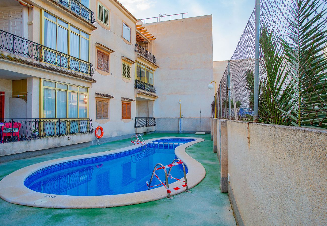 Apartment in Torrevieja - 124 Studio Relax - Alicante Holiday