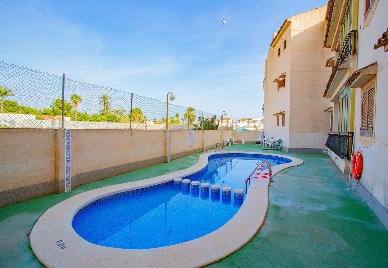 Apartment in Torrevieja - 124 Studio Relax - Alicante Holiday