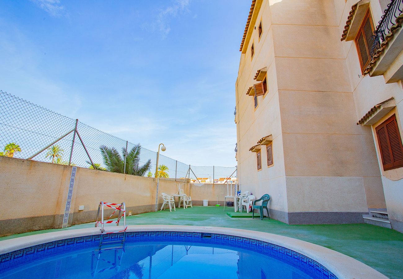 Apartment in Torrevieja - 124 Studio Relax - Alicante Holiday