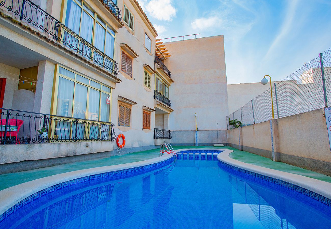 Apartment in Torrevieja - 124 Studio Relax - Alicante Holiday