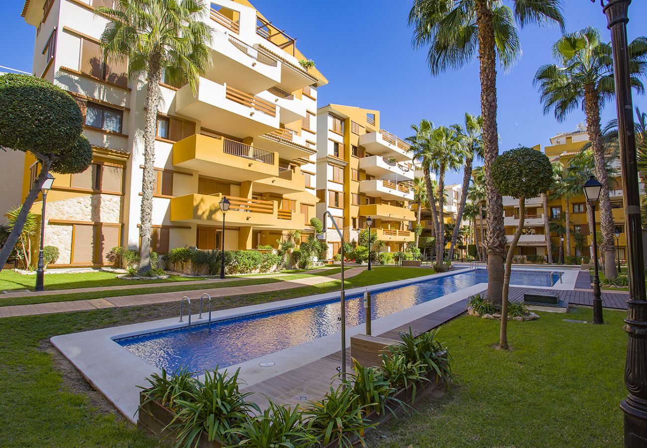 Apartment in Torrevieja - 231  Recoleta Style Relax - Alicante Holiday