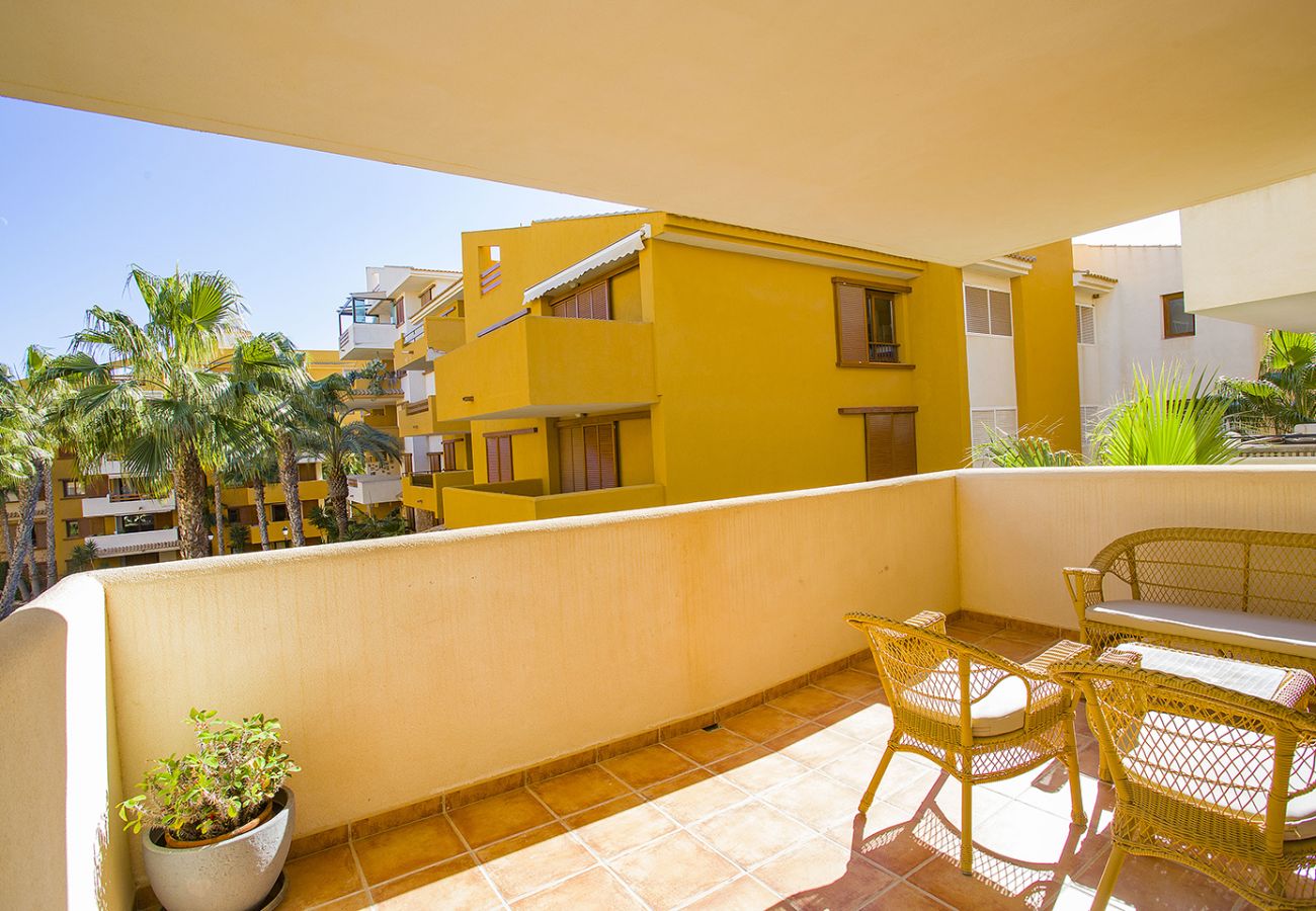 Apartment in Torrevieja - 231  Recoleta Style Relax - Alicante Holiday