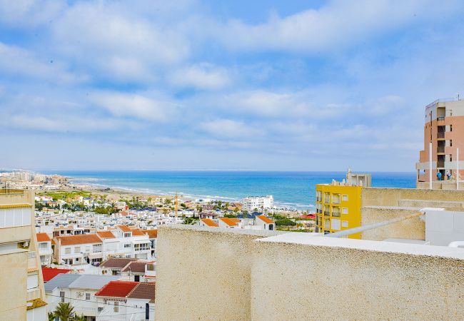 Torrevieja - Apartment