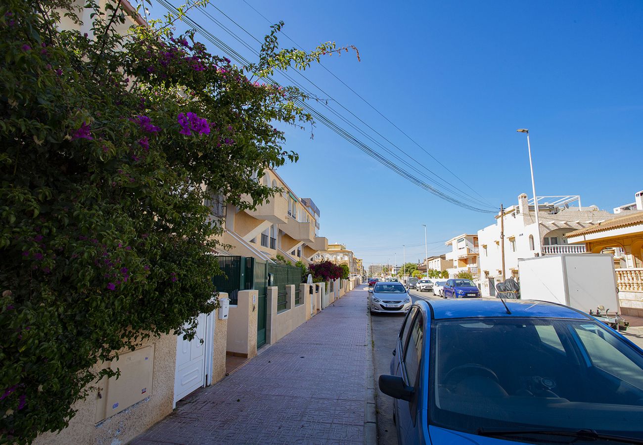 Apartment in La Mata - 039 Nice Quiet Feelling - Alicante Holiday