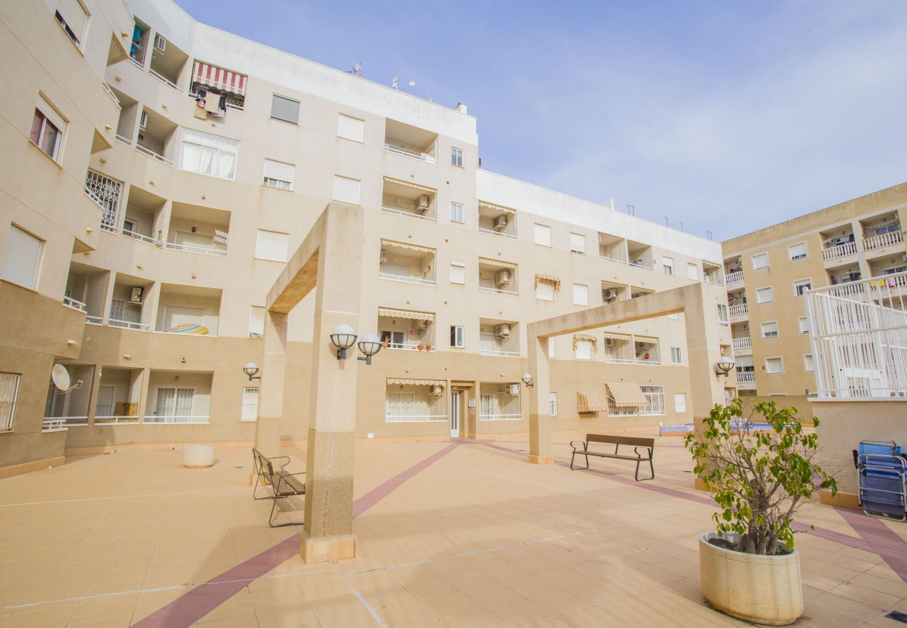 Apartment in Torrevieja - 141 Rambla Nice Place - Alicante Holiday