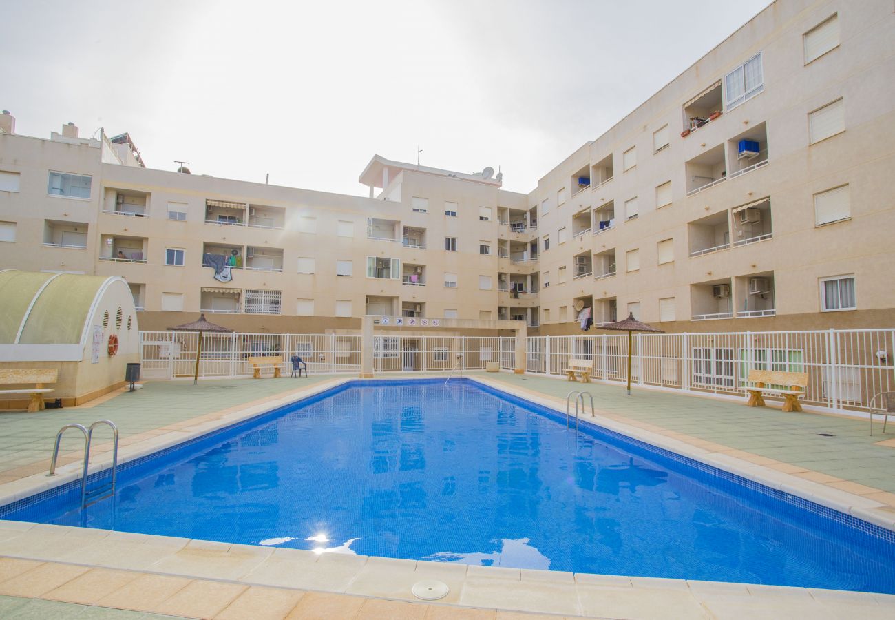 Apartment in Torrevieja - 141 Rambla Nice Place - Alicante Holiday