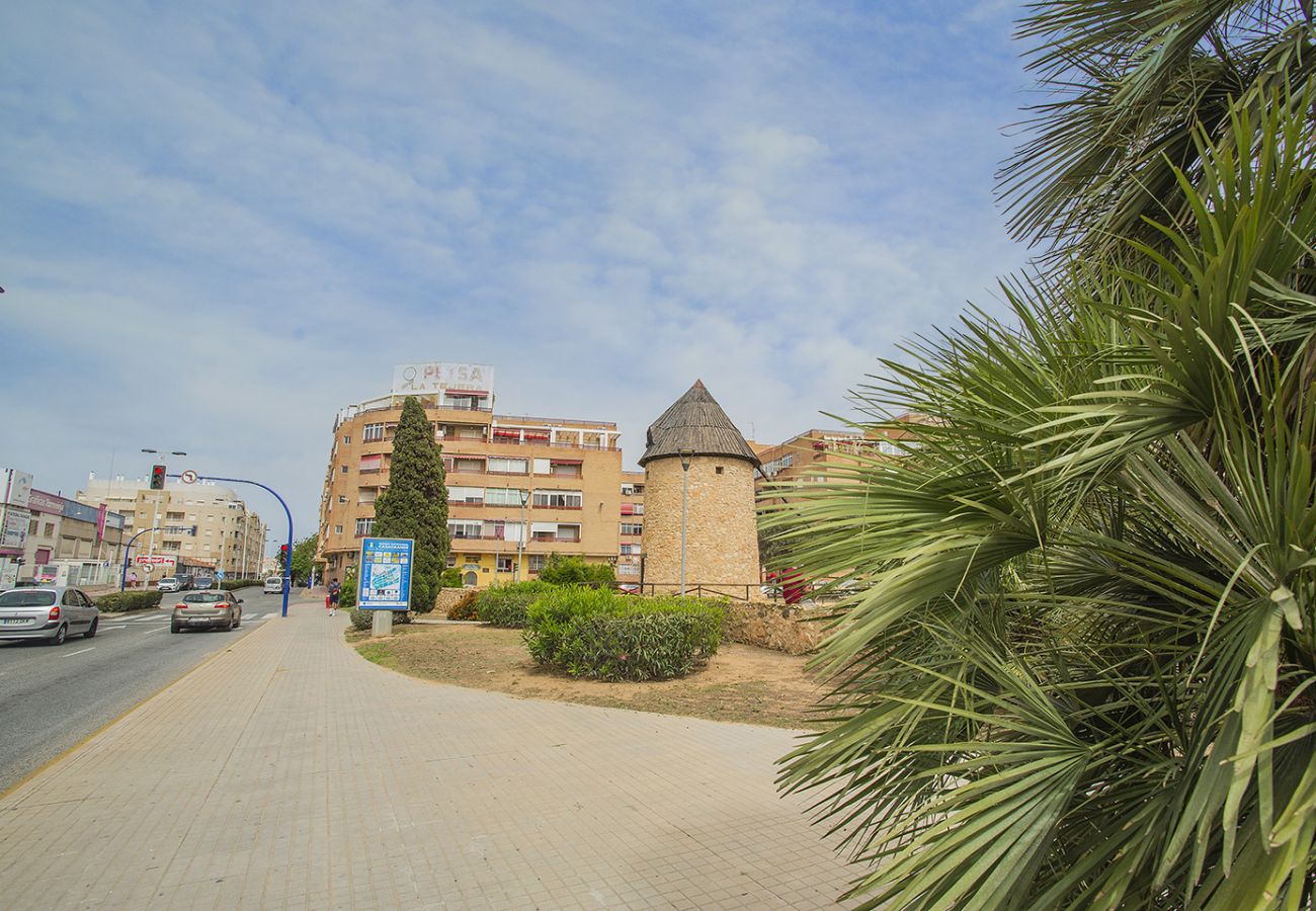 Apartment in Torrevieja - 099 Lovely Beauty Relax - Alicante-Holiday