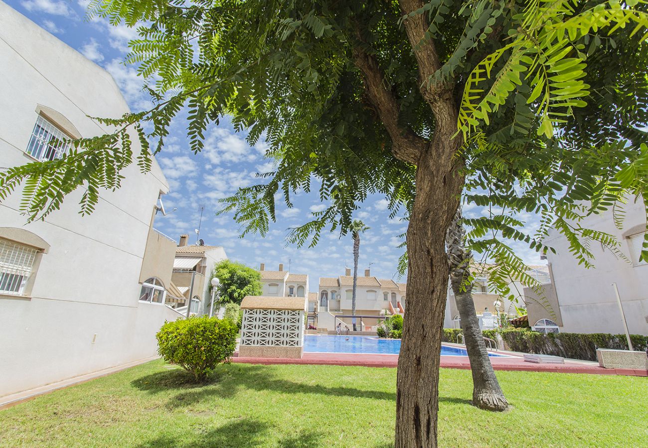 Apartment in Torrevieja - 146 Quiet Pool Relax - Alicante Holiday