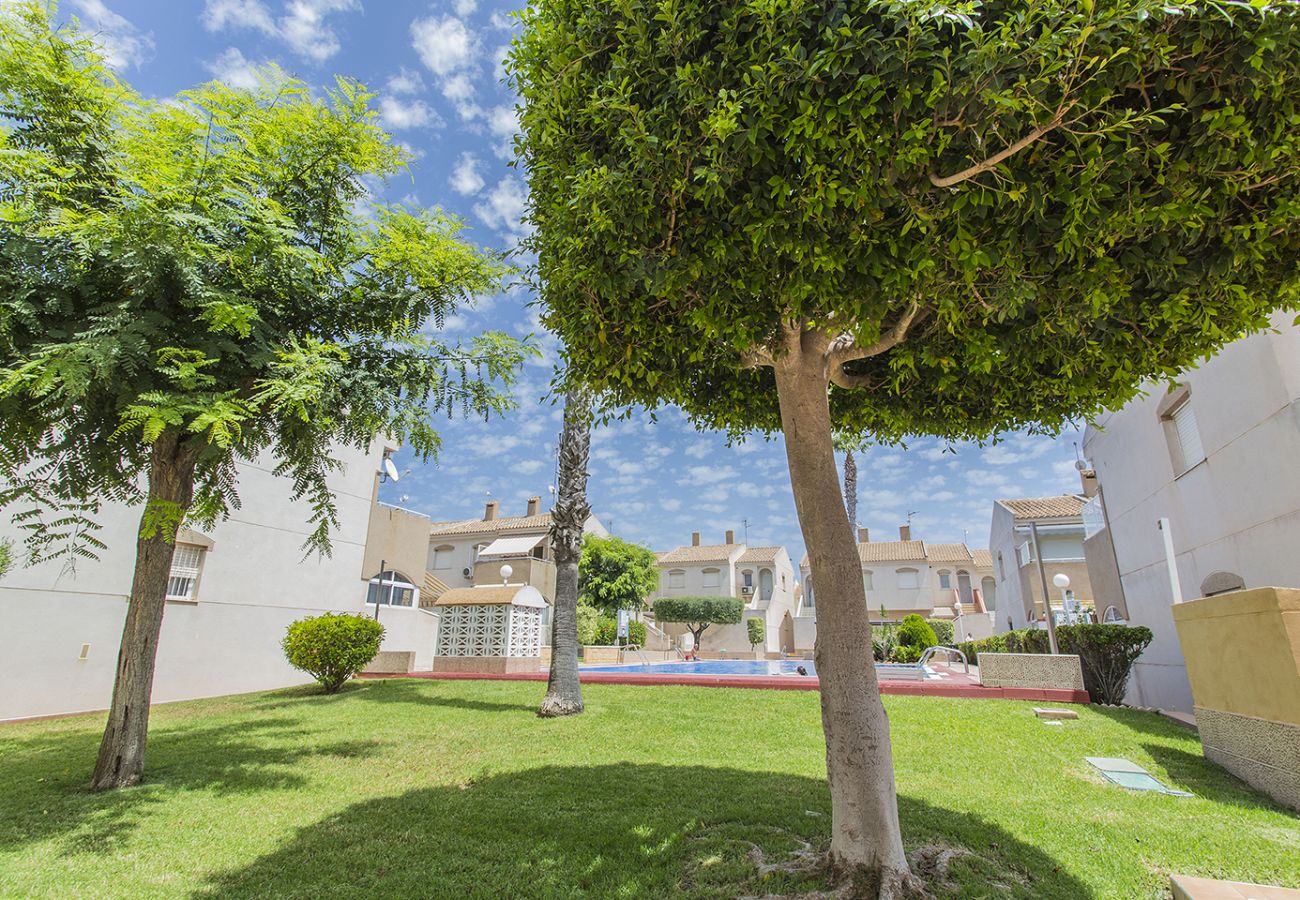 Apartment in Torrevieja - 146 Quiet Pool Relax - Alicante Holiday