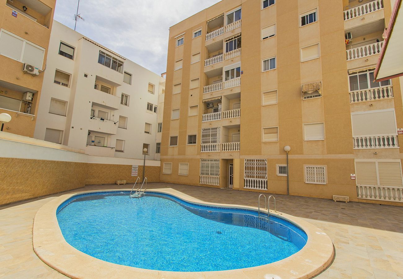 Apartment in Torrevieja - 150 Lovely Palangre Apartment Alicante-holiday