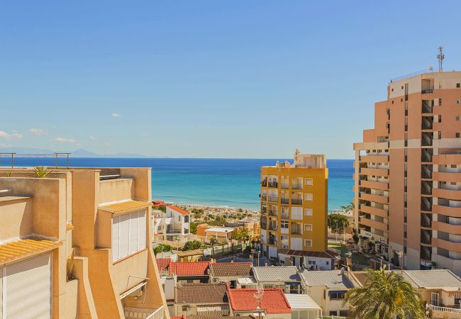 Torrevieja - Apartment