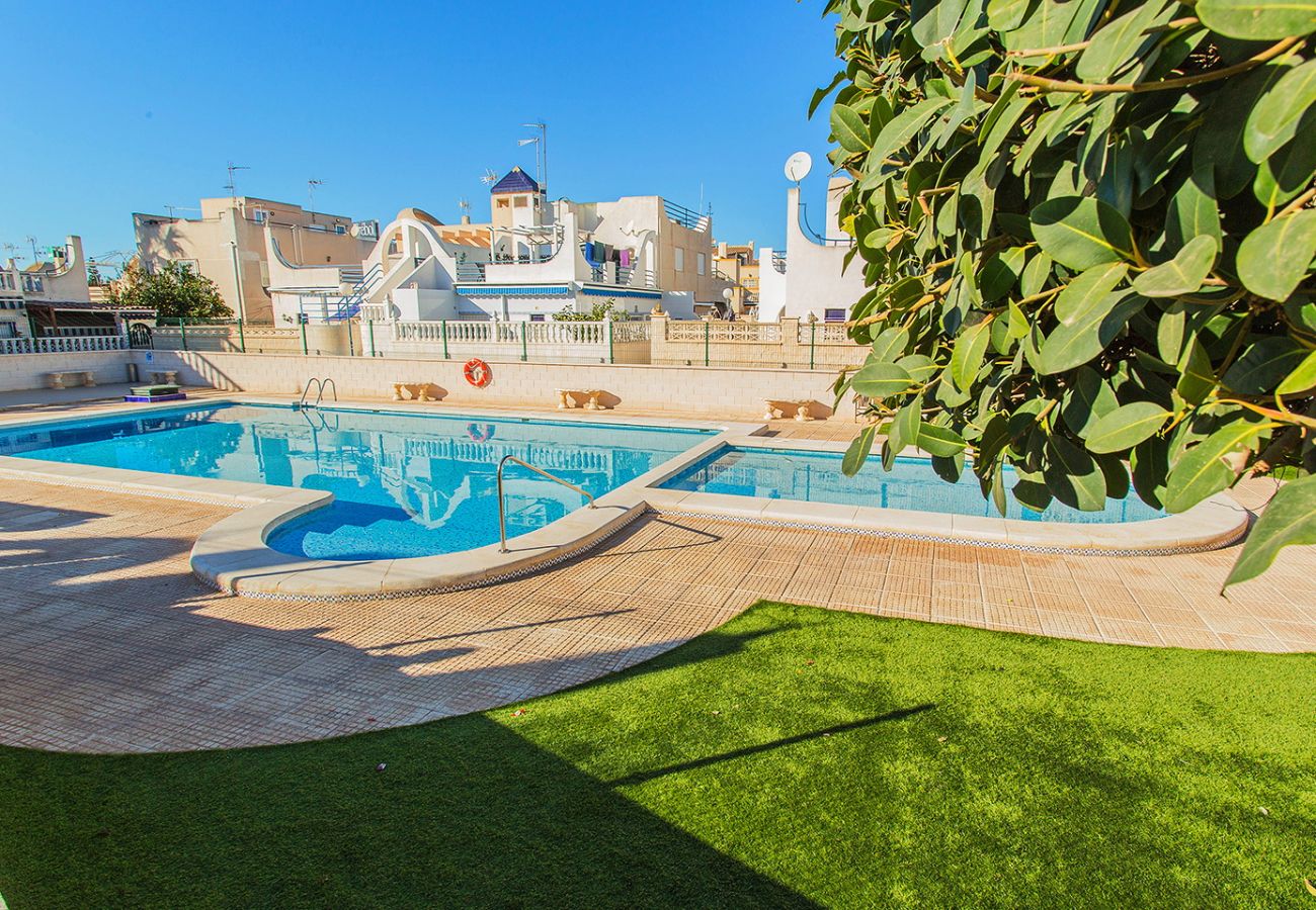 Townhouse in Torrevieja - 157 Adosado Iñes Alicante-Holiday