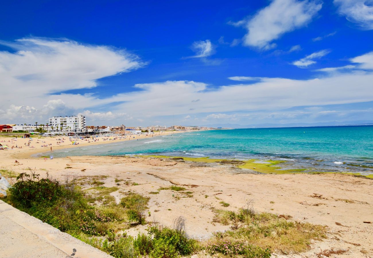 Апартаменты на Торревьеха / Torrevieja - 040 Kate el Coral - Alicante Real Estate