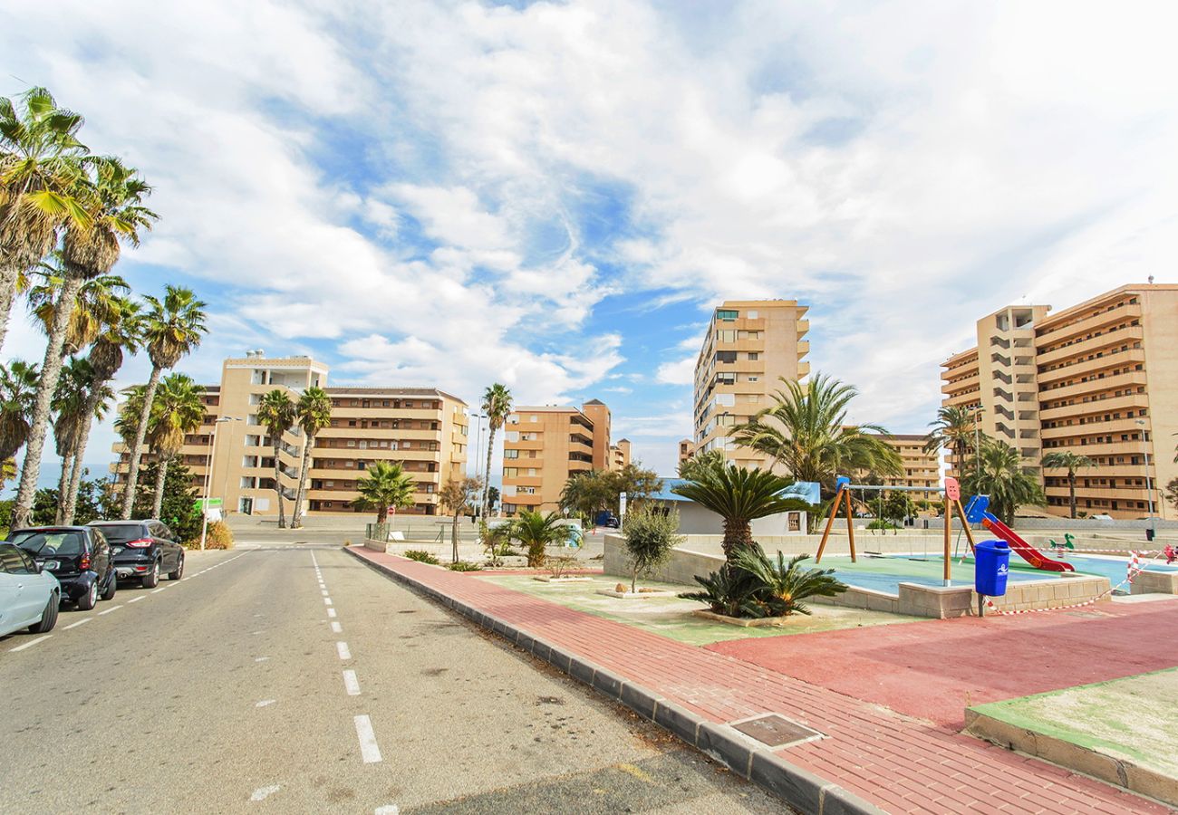 Апартаменты на Торревьеха / Torrevieja - 040 Kate el Coral - Alicante Real Estate