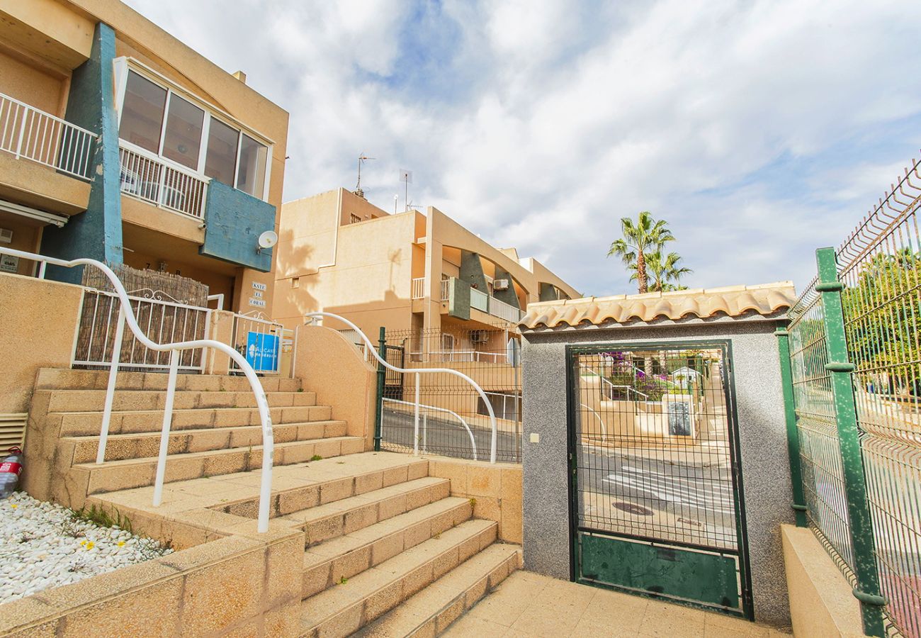 Апартаменты на Торревьеха / Torrevieja - 040 Kate el Coral - Alicante Real Estate