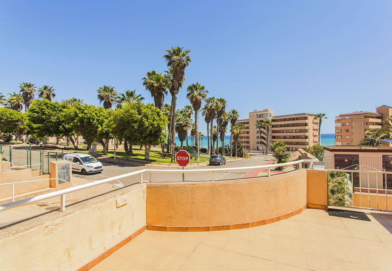 Апартаменты на Торревьеха / Torrevieja - 040 Kate el Coral - Alicante Real Estate