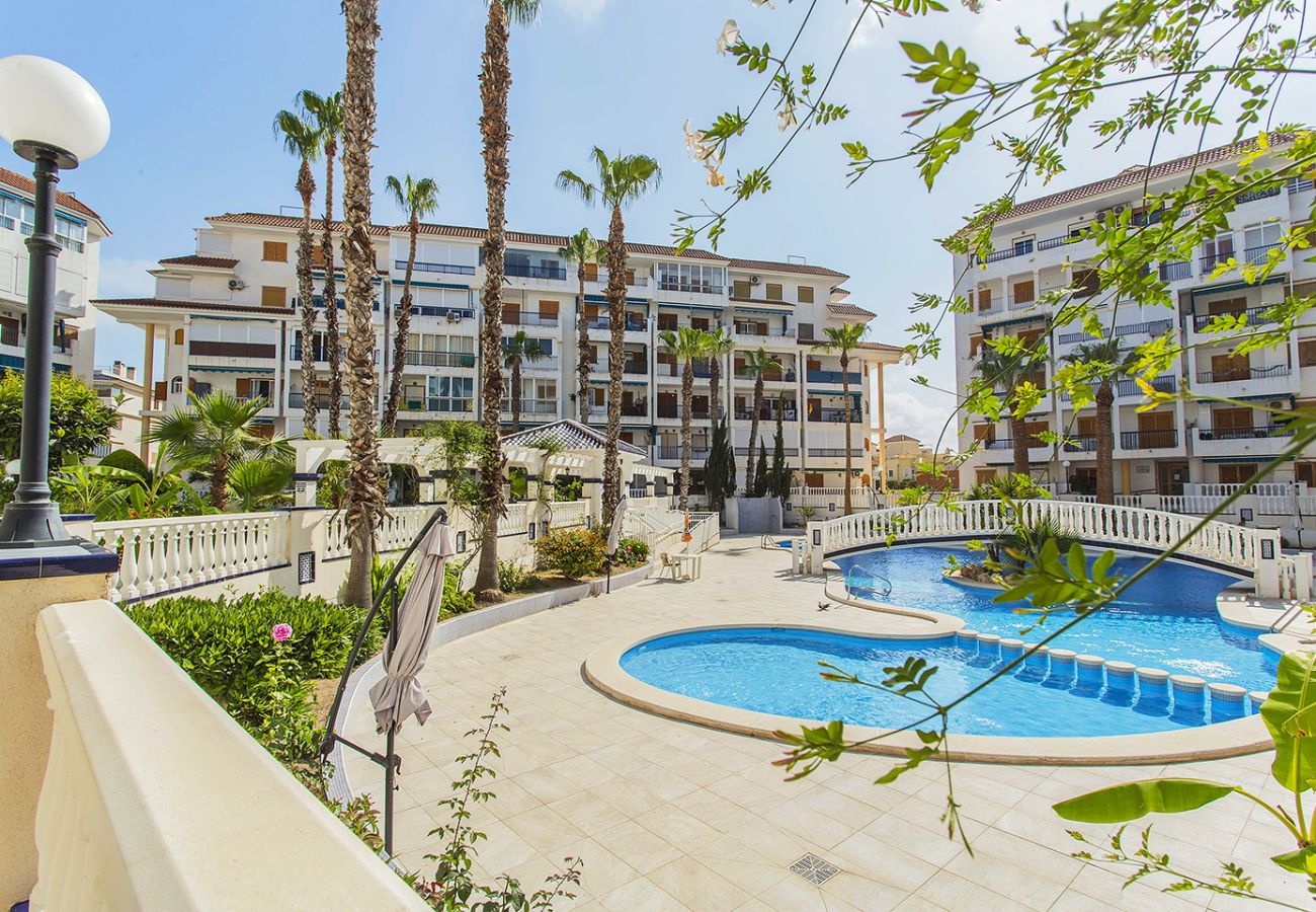 Апартаменты на La Mata - 102 Sol La Mata - Alicante Holiday