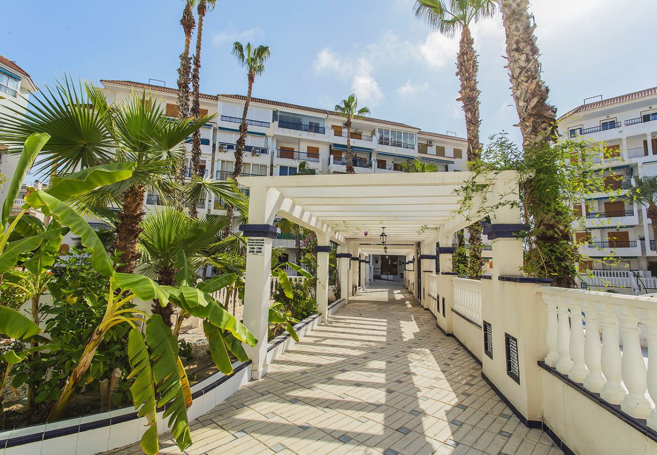 Апартаменты на La Mata - 102 Sol La Mata - Alicante Holiday