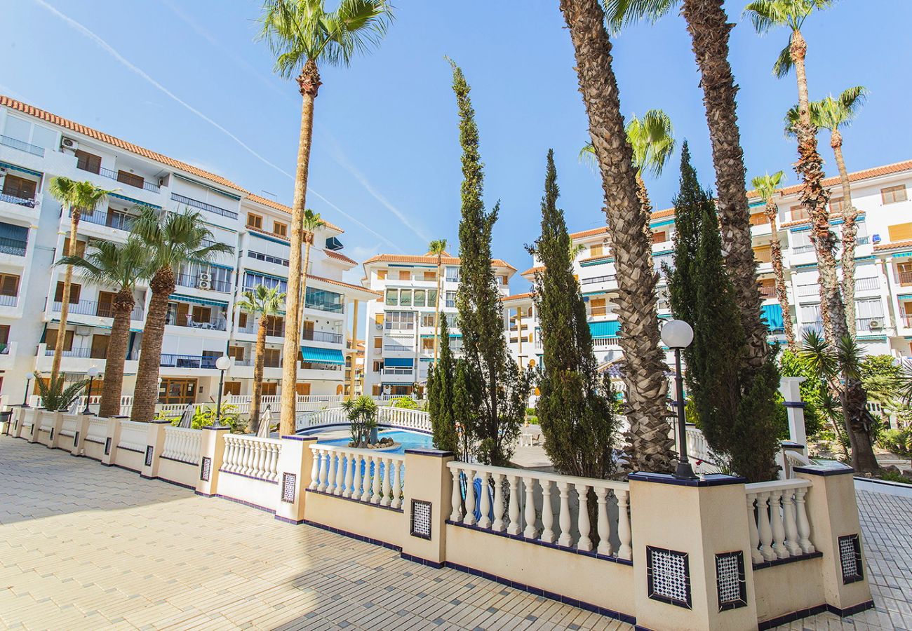 Апартаменты на La Mata - 102 Sol La Mata - Alicante Holiday