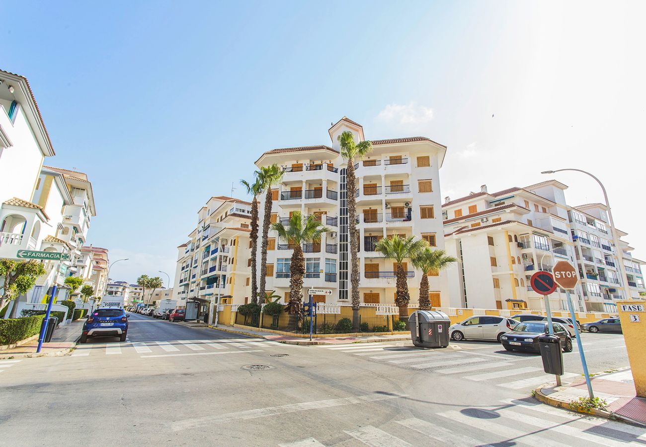 Апартаменты на La Mata - 102 Sol La Mata - Alicante Holiday