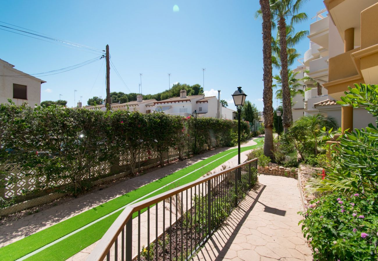 Апартаменты на Торревьеха / Torrevieja - 214 Panorama Park - Alicante Holiday