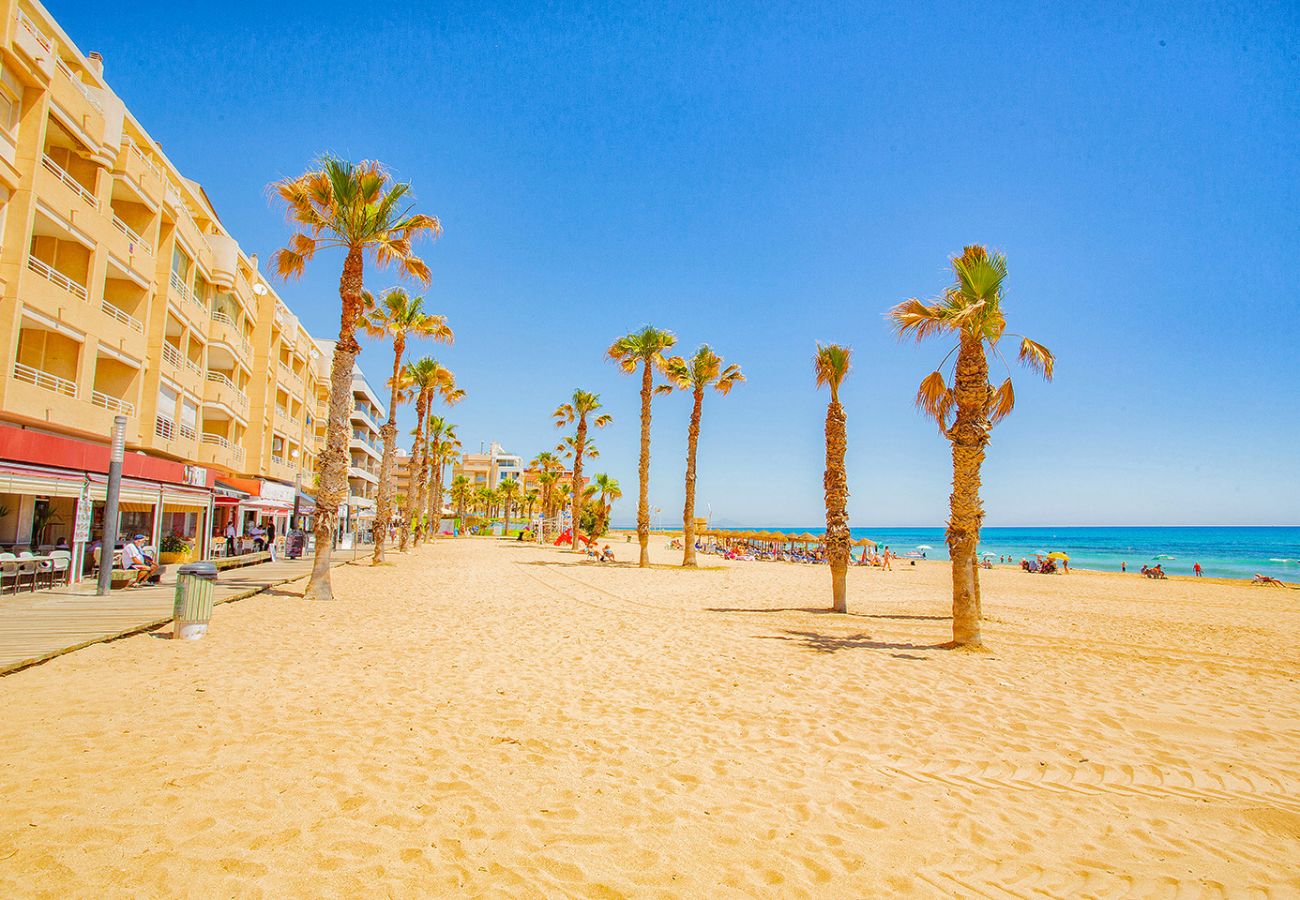 Апартаменты на La Mata - 060 La Mata Beach - Alicante Holiday