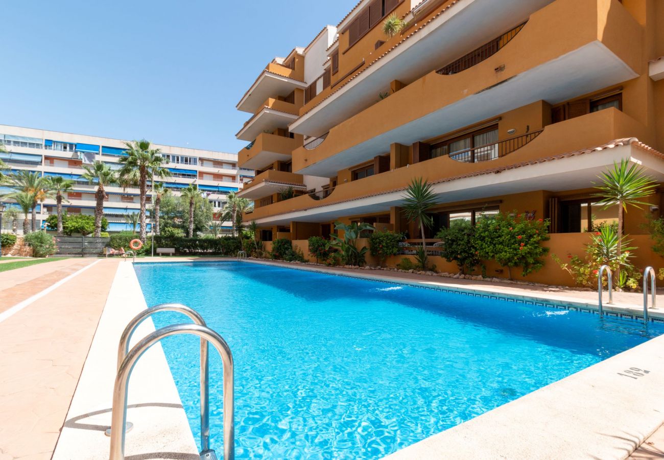 Апартаменты на Торревьеха / Torrevieja - 222 Lovely 3  Pools Home - Alicante Holiday