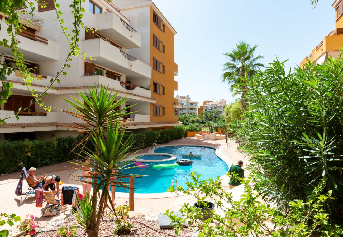 Апартаменты на Торревьеха / Torrevieja - 222 Lovely 3  Pools Home - Alicante Holiday