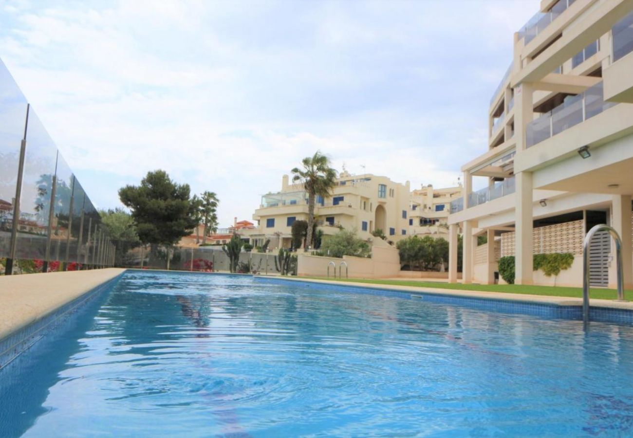 Апартаменты на La Zenia - 235 Zenia Mar Azul-Alicante Holiday