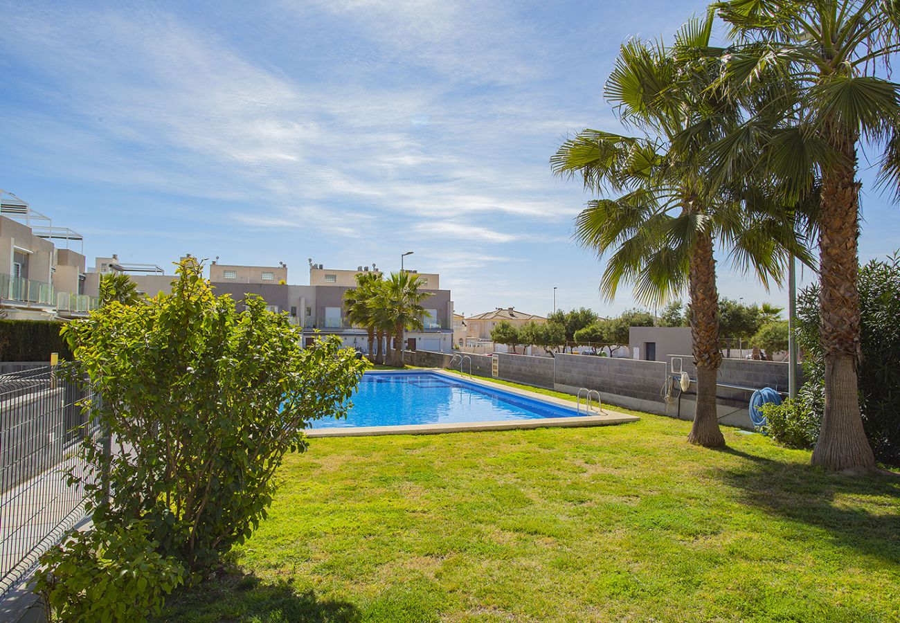 Бунгало на Торревьеха / Torrevieja - 036 Premium Bungalow - Alicante Holiday