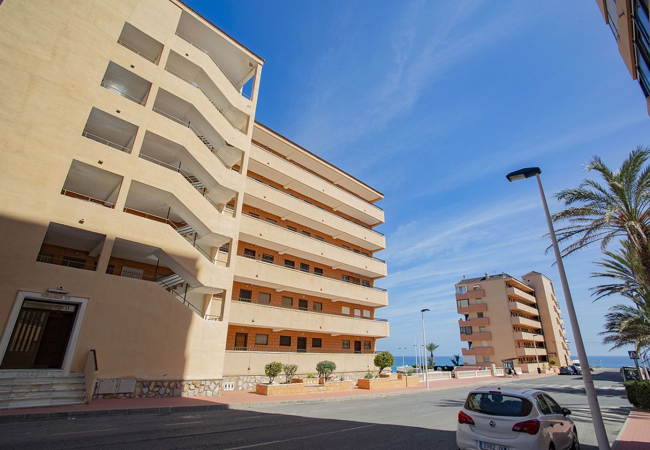 Апартаменты на Торревьеха / Torrevieja - 037 Blue Laguna - Alicante Holiday