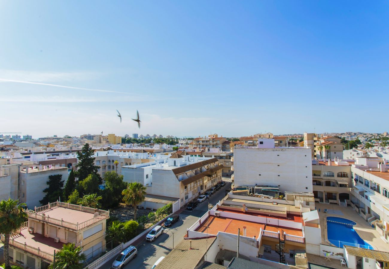 Квартира-студия на Торревьеха / Torrevieja - 087 Sky Studio - Alicante Holiday