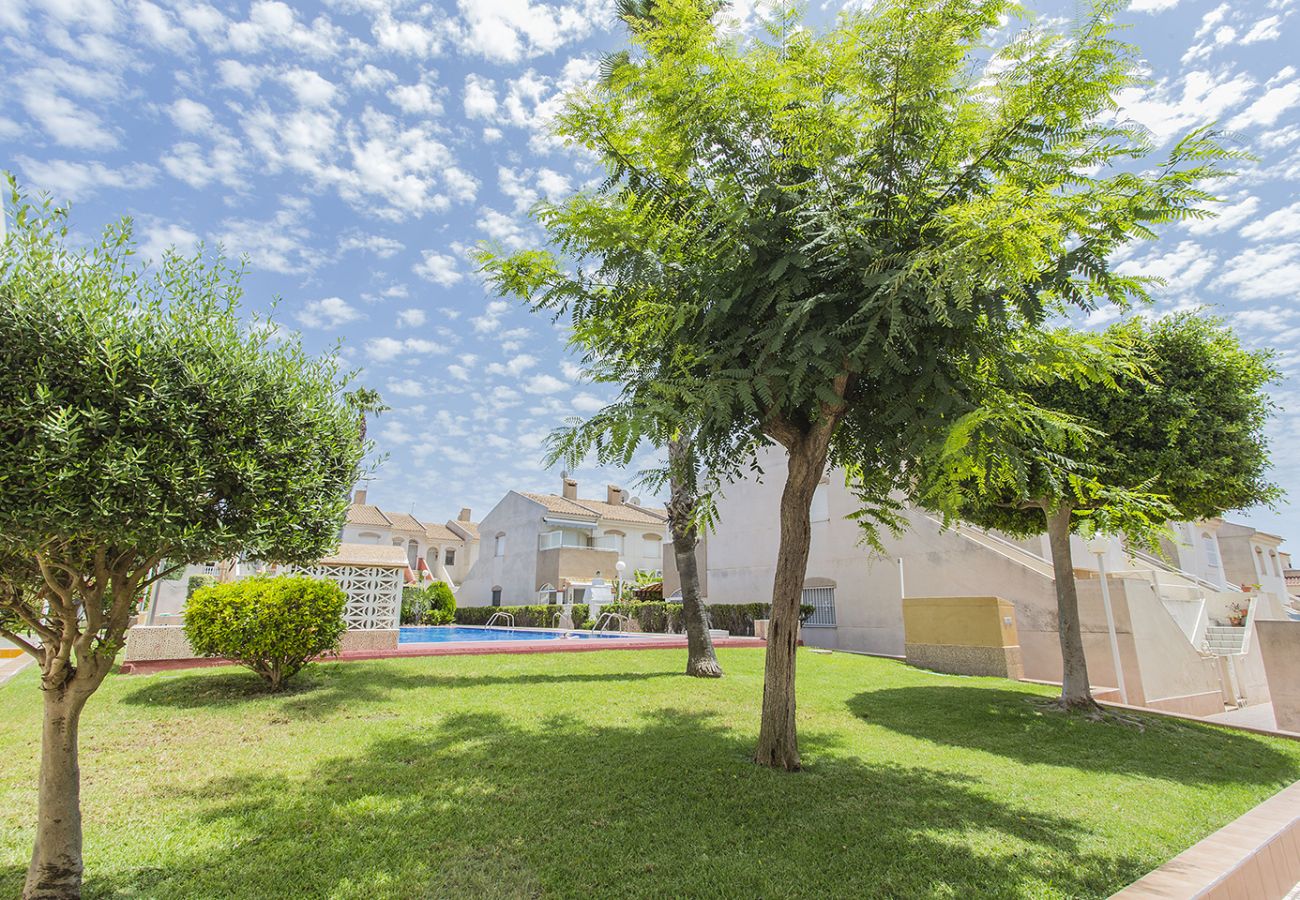 Апартаменты на Торревьеха / Torrevieja - 146 Quiet Pool Relax - Alicante Holiday