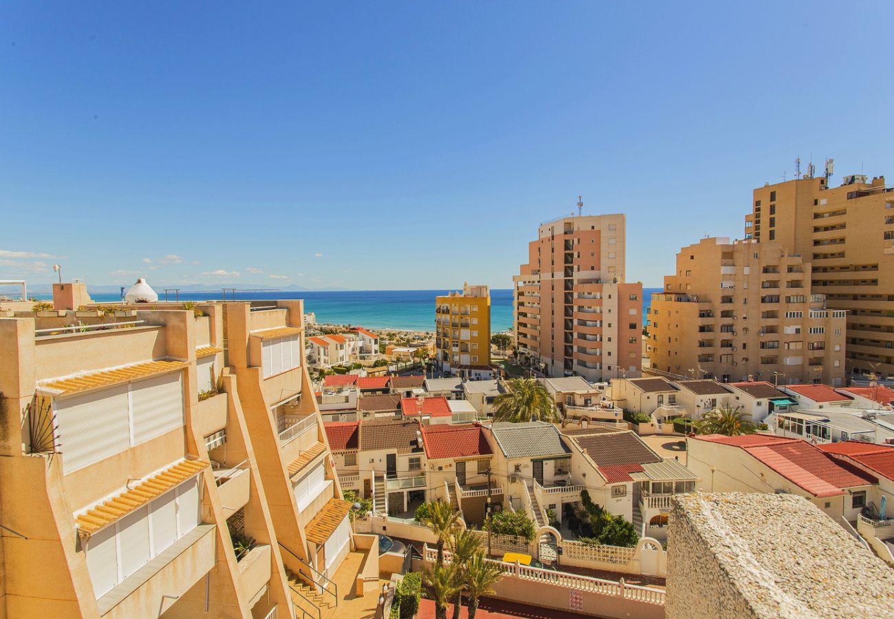 Апартаменты на Торревьеха / Torrevieja - 019 Lomas Penthouse - Alicante Holiday