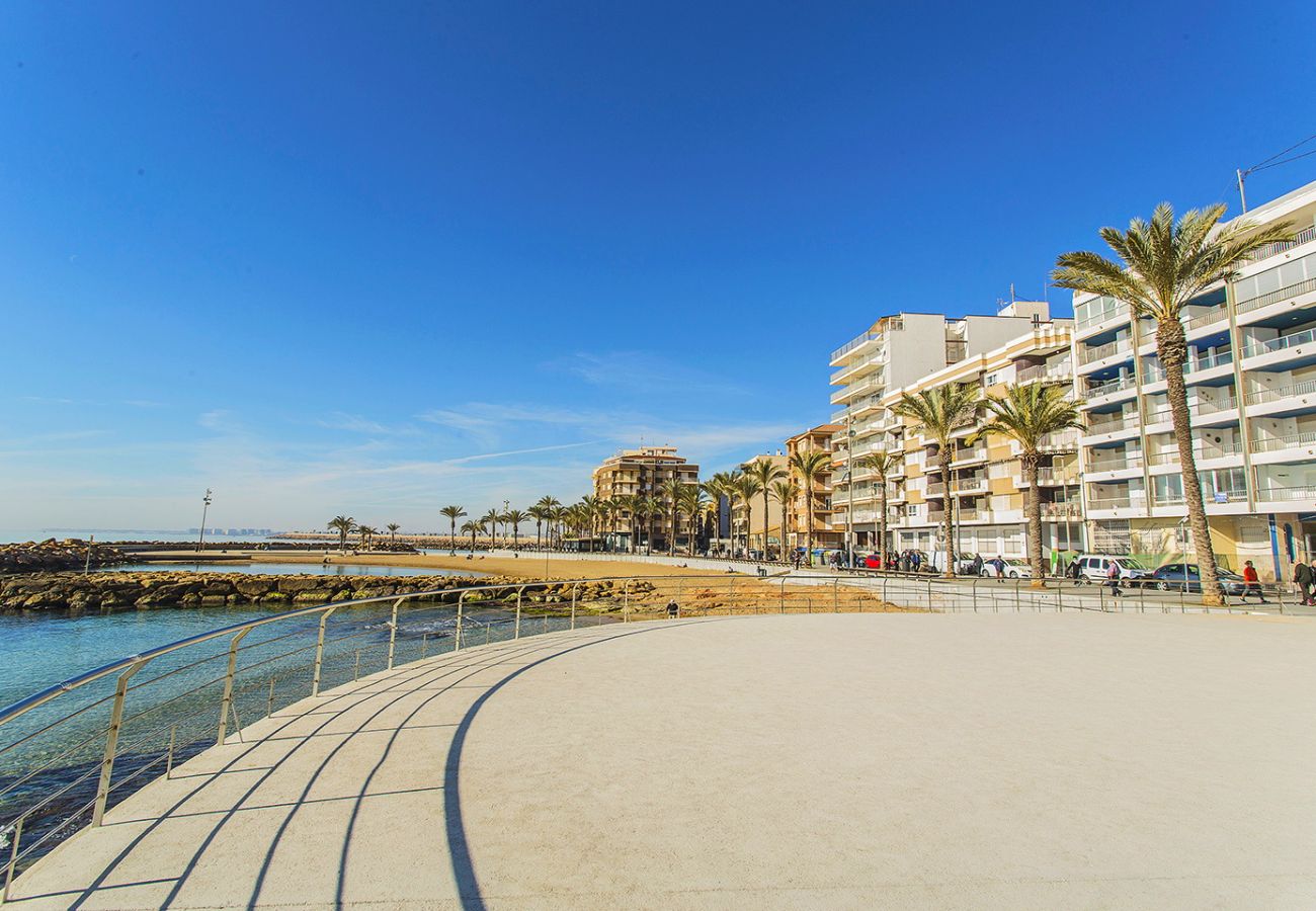 Апартаменты на Торревьеха / Torrevieja - 156 Nortico Apartment Alicante-Holiday